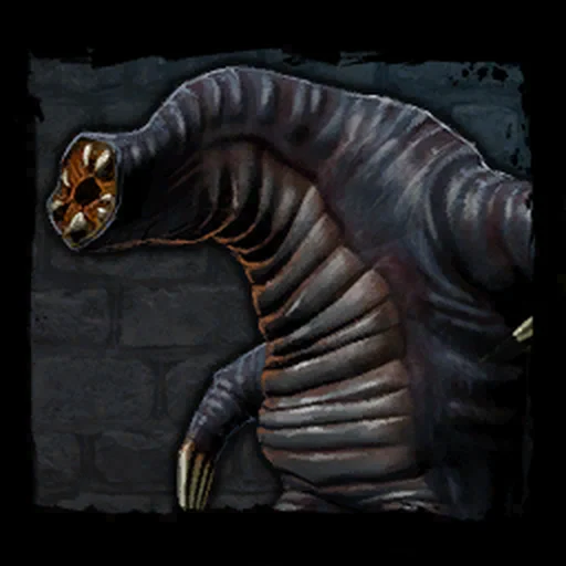 Bloedzuiger in The Witcher