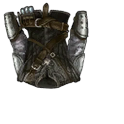 Raven’s Armor icon from The Witcher 3
