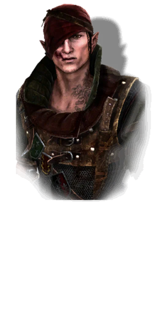 The Witcher 2 Hub: Quests, Characters & Story Image - WitcherSaga.com Iorveth