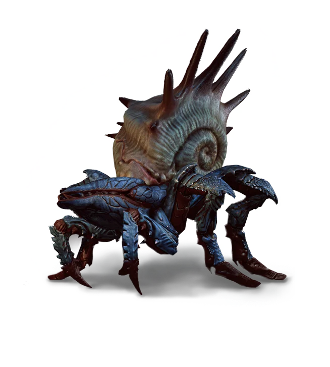 Armored Arachas icon from The Witcher 3
