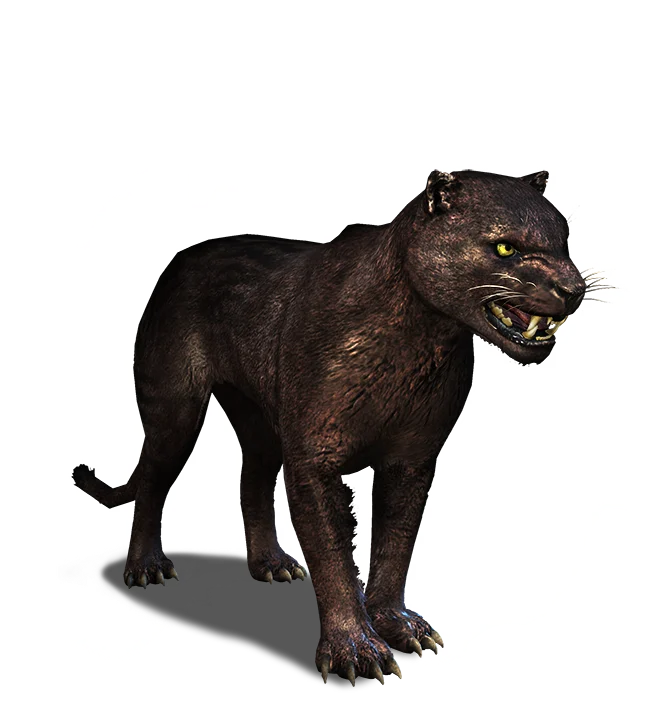 Panther icon from The Witcher 3