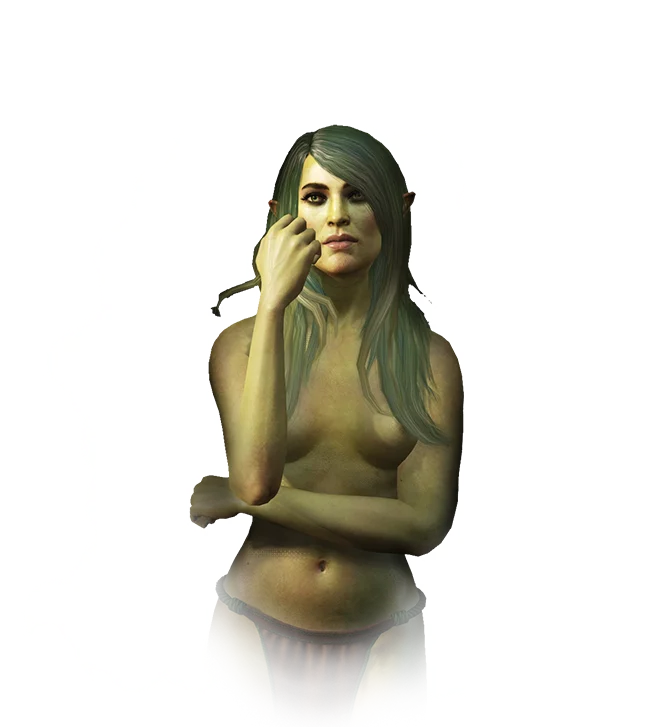 Lady of the Lake icon from The Witcher 3