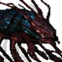 Giant Centipede portrait from The Witcher 3
