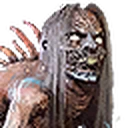 Water Hag portrait from The Witcher 3