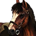 Roach portrait from The Witcher 3